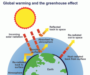 176 Fig.1 Global warming